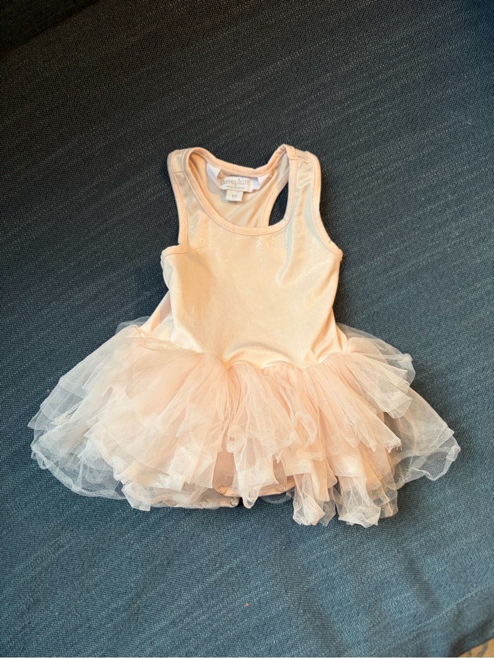 Shimmery Pink Tulle Ballet One-Piece for Kids